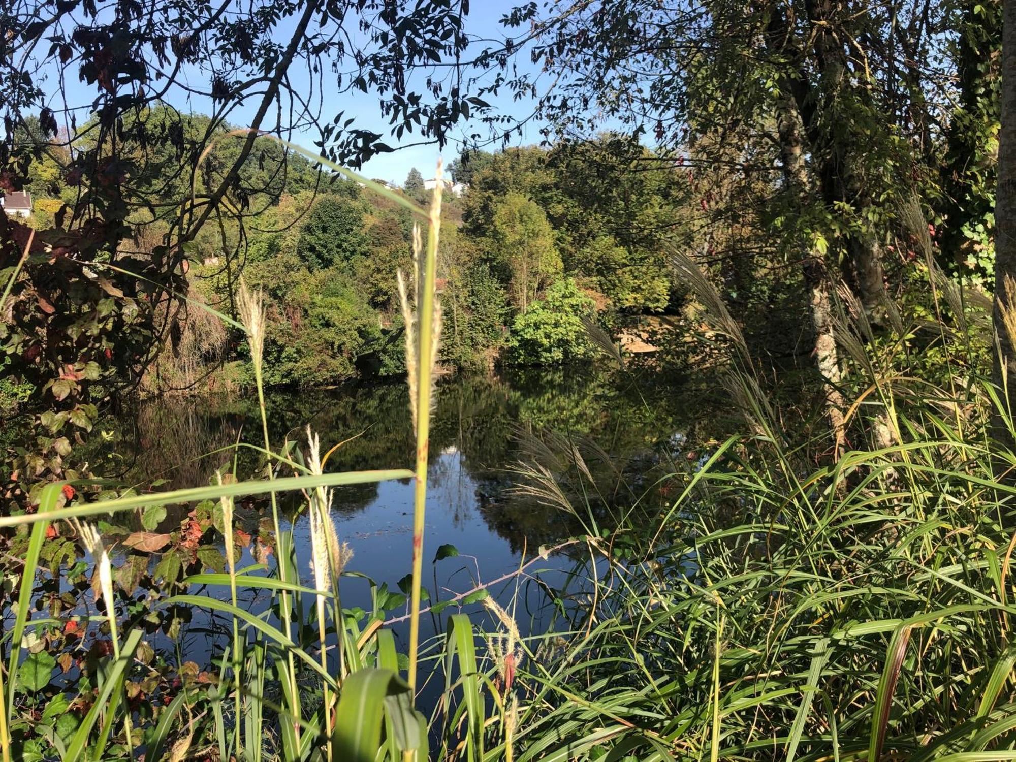 Demeure De Charme Vue Riviere Perigueux Piscine Parking Bed & Breakfast Exterior foto